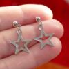 Stainless Steel Star Earrings